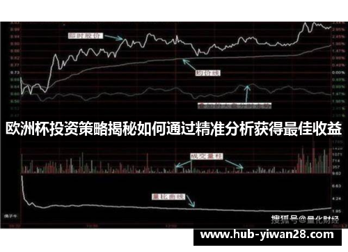 欧洲杯投资策略揭秘如何通过精准分析获得最佳收益
