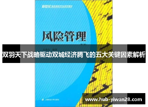 双羽天下战略驱动双城经济腾飞的五大关键因素解析